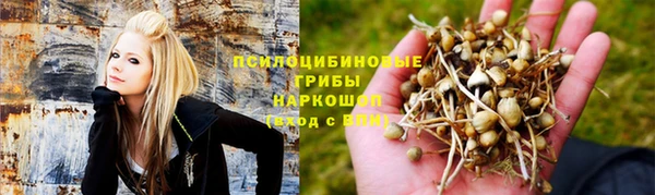 стафф Алексеевка