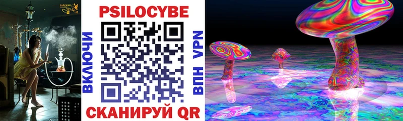 хочу наркоту  Усолье  Галлюциногенные грибы Cubensis 